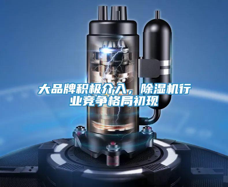 大品牌積極介入，除濕機行業(yè)競爭格局初現(xiàn)