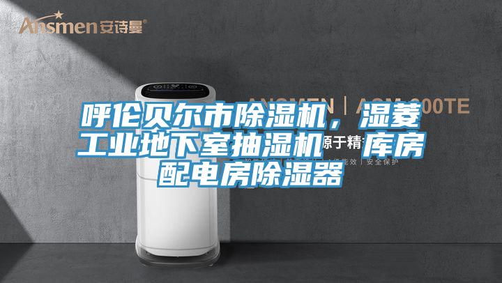 呼倫貝爾市除濕機,濕菱工業地下室抽濕機 庫房配電房除濕器