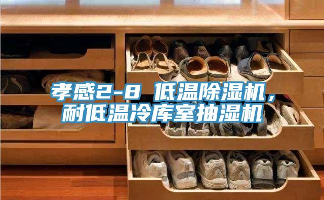 孝感2-8℃低溫除濕機，耐低溫冷庫室抽濕機