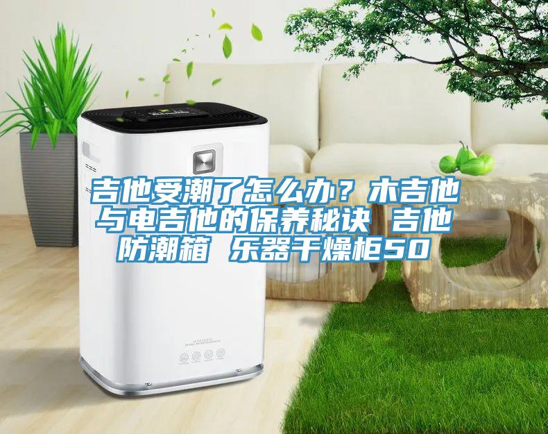 吉他受潮了怎么辦？木吉他與電吉他的保養秘訣 吉他防潮箱 樂器干燥柜50