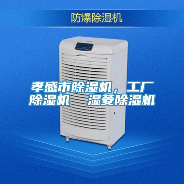 孝感市除濕機，工廠除濕機  濕菱除濕機
