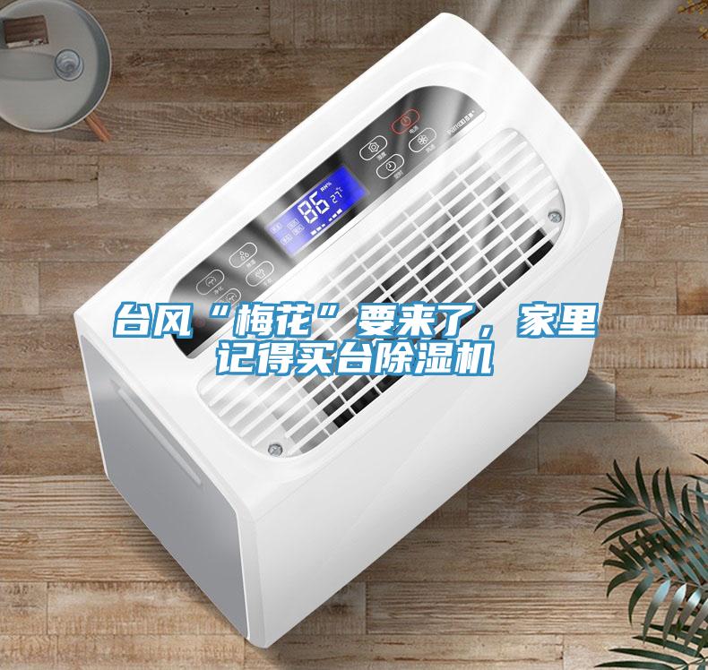 臺風(fēng)“梅花”要來了，家里記得買臺除濕機