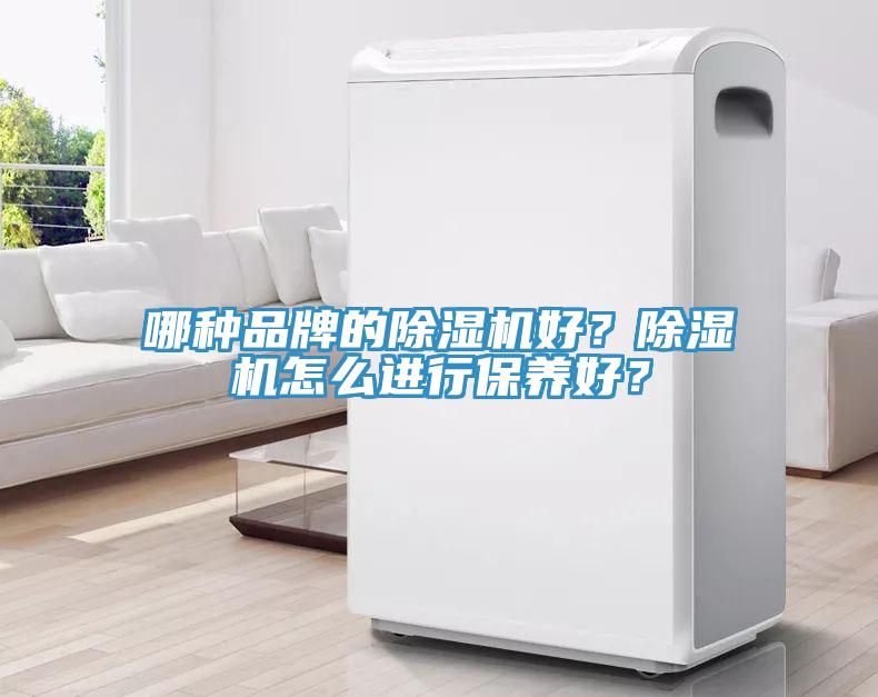 哪種品牌的除濕機好？除濕機怎么進行保養(yǎng)好？