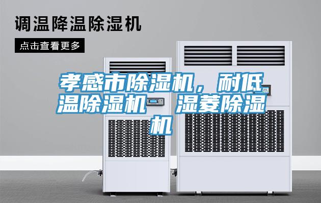 孝感市除濕機，耐低溫除濕機  濕菱除濕機
