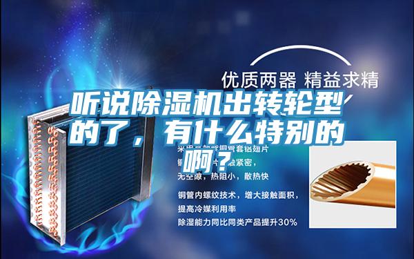 聽說除濕機出轉輪型的了,有什么特別的啊?