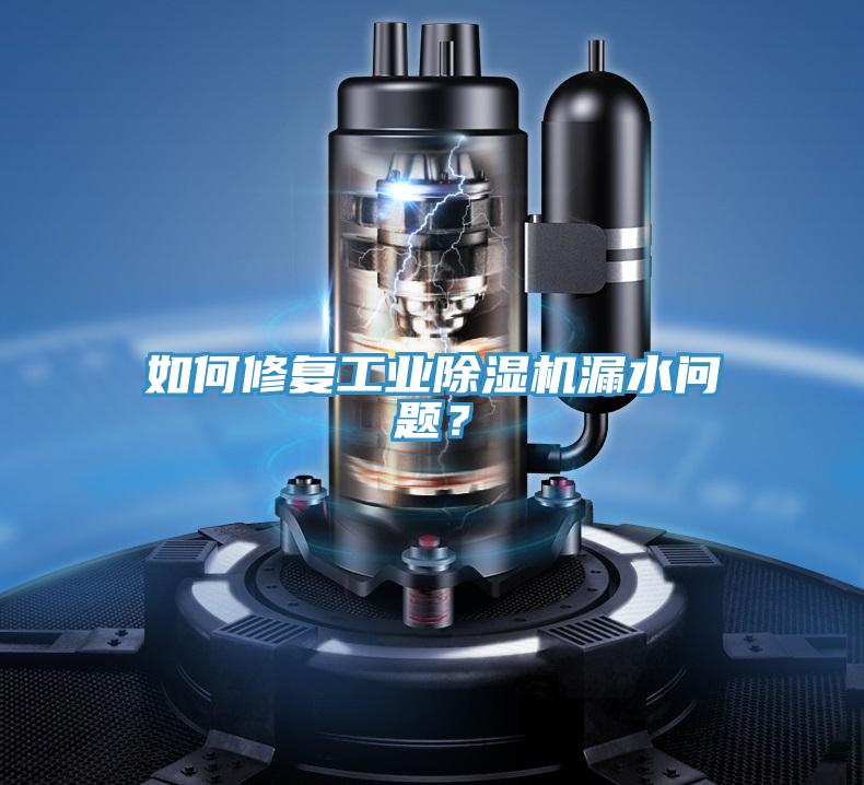 如何修復工業除濕機漏水問題？