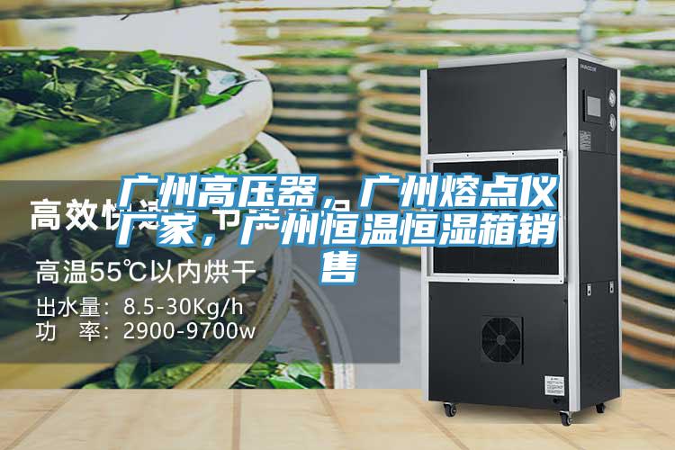 廣州高壓器，廣州熔點儀廠家，廣州恒溫恒濕箱銷售