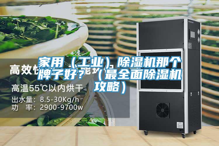 家用（工業）除濕機那個牌子好？（最全面除濕機攻略）