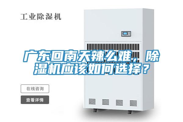 廣東回南天辣么難，除濕機應(yīng)該如何選擇？
