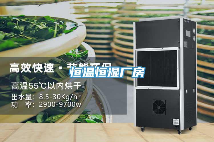 恒溫恒濕廠(chǎng)房