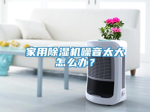 家用除濕機(jī)噪音太大怎么辦?
