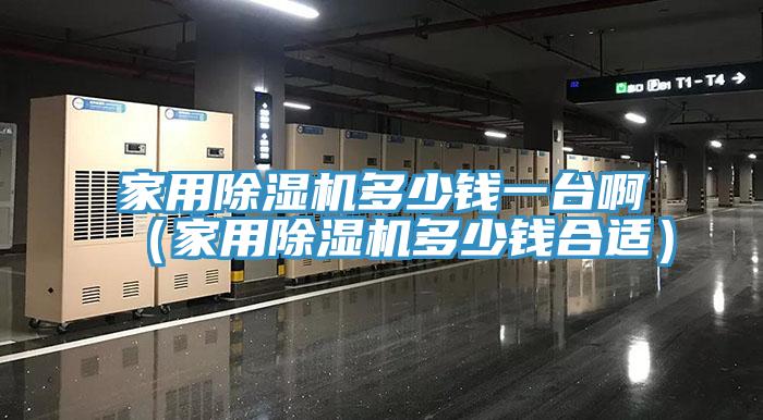 家用除濕機(jī)多少錢一臺(tái)啊(家用除濕機(jī)多少錢合適)