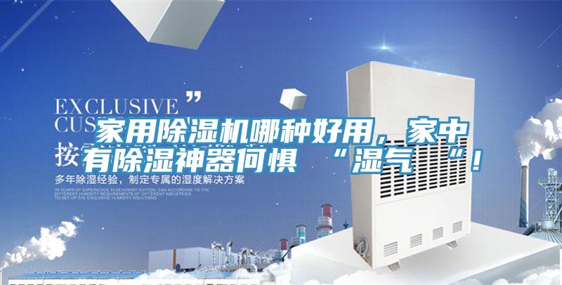 家用除濕機(jī)哪種好用,家中有除濕神器何懼 “濕氣 “!