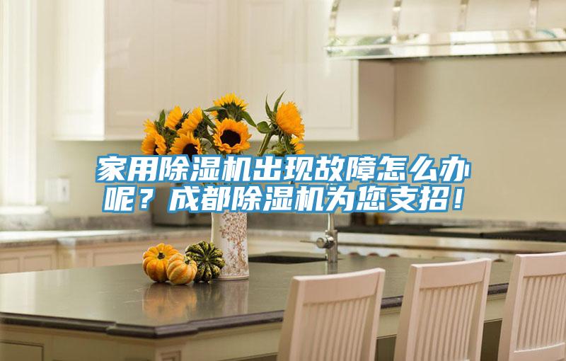 家用除濕機出現故障怎么辦呢？成都除濕機為您支招！
