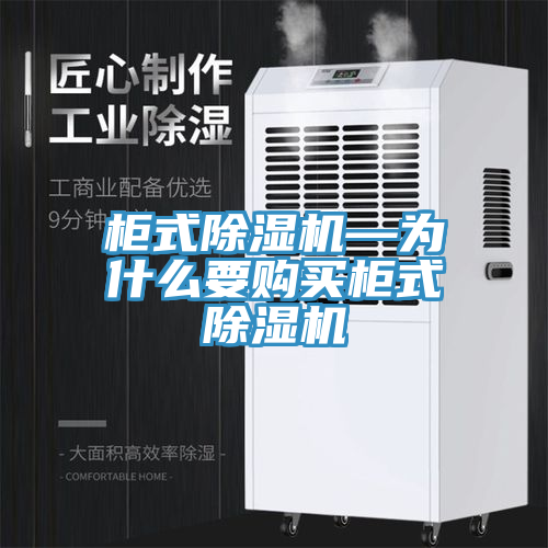柜式除濕機(jī)—為什么要購(gòu)買(mǎi)柜式除濕機(jī)