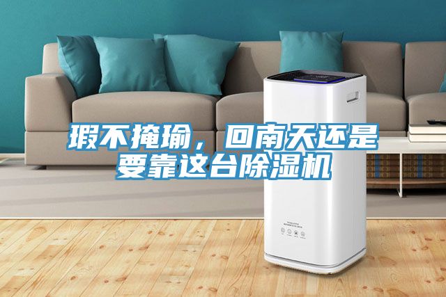 瑕不掩瑜，回南天還是要靠這臺除濕機(jī)