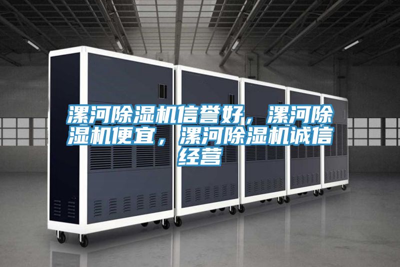 漯河除濕機(jī)信譽(yù)好,漯河除濕機(jī)便宜,漯河除濕機(jī)誠信經(jīng)營