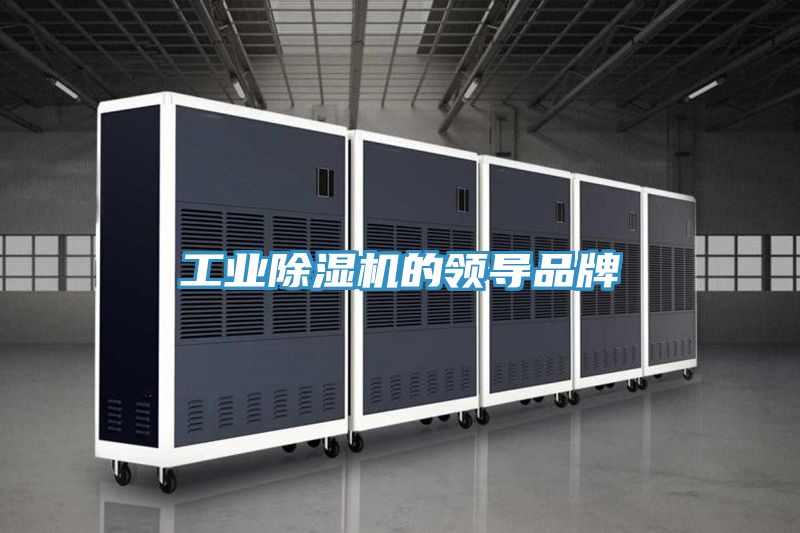 工業(yè)除濕機的領(lǐng)導(dǎo)品牌