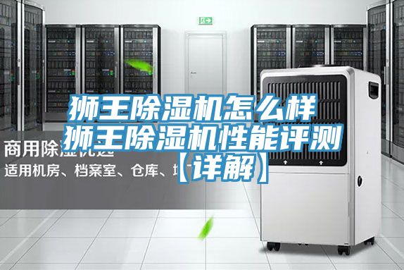 獅王除濕機怎么樣 獅王除濕機性能評測【詳解】