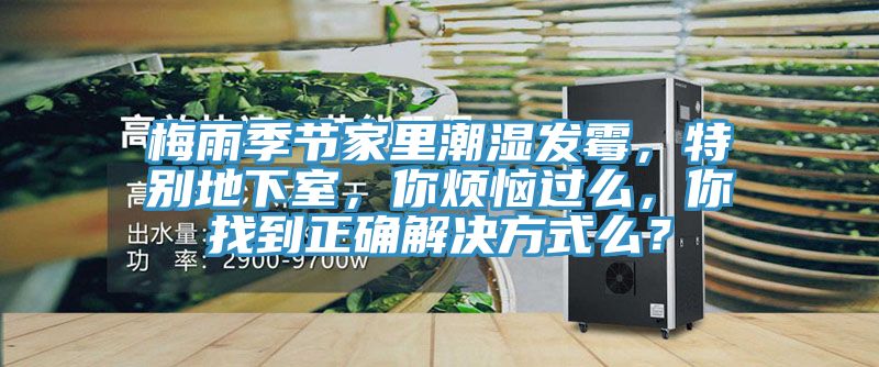 梅雨季節家里潮濕發霉，特別地下室，你煩惱過么，你找到正確解決方式么？