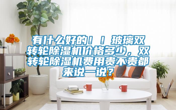 有什么好的！！玻璃雙轉(zhuǎn)輪除濕機價格多少，雙轉(zhuǎn)輪除濕機費用貴不貴都來說一說？