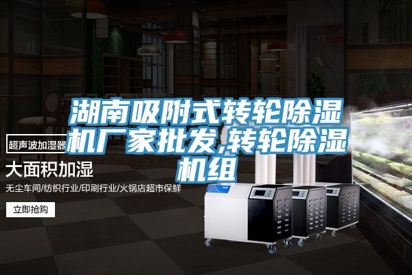 湖南吸附式轉(zhuǎn)輪除濕機廠家批發(fā),轉(zhuǎn)輪除濕機組