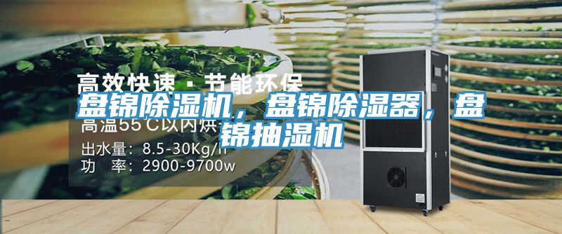 盤錦除濕機，盤錦除濕器，盤錦抽濕機