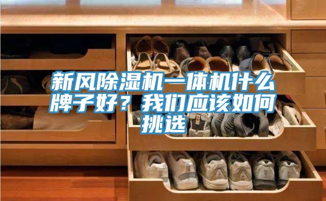 新風(fēng)除濕機(jī)一體機(jī)什么牌子好？我們應(yīng)該如何挑選