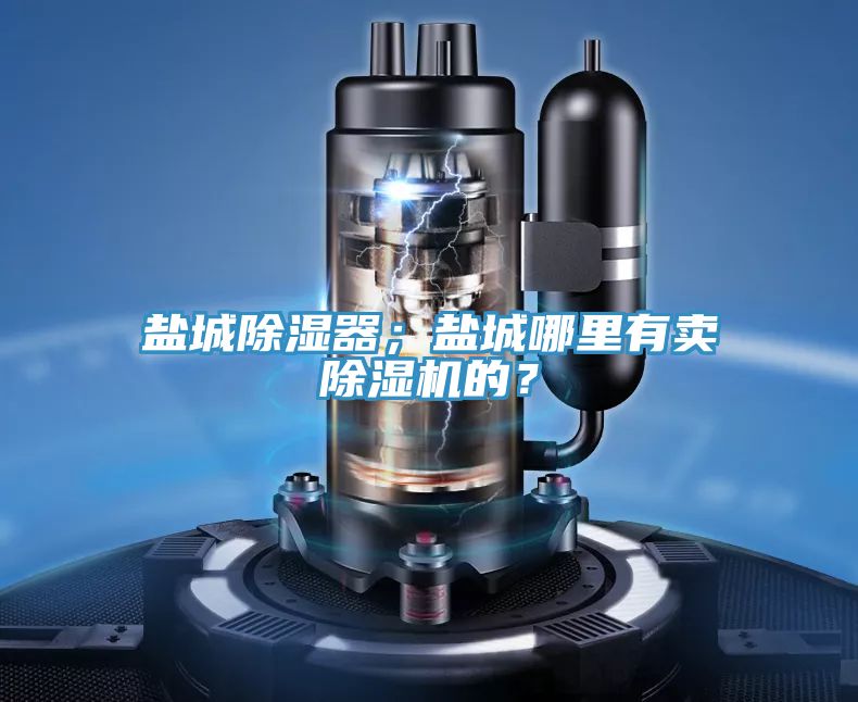 鹽城除濕器；鹽城哪里有賣除濕機的？