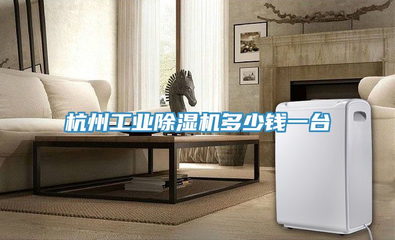 杭州工業除濕機多少錢一臺
