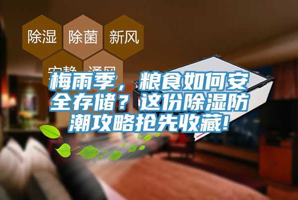 梅雨季，糧食如何安全存儲？這份除濕防潮攻略搶先收藏!
