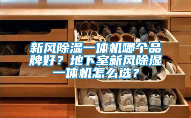 新風除濕一體機哪個品牌好？地下室新風除濕一體機怎么選？