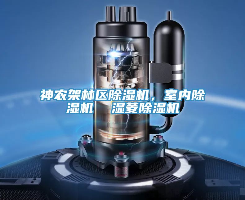 神農架林區除濕機，室內除濕機  濕菱除濕機