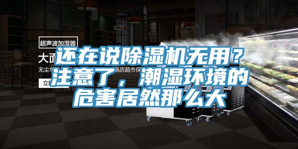 還在說除濕機無用？注意了，潮濕環境的危害居然那么大