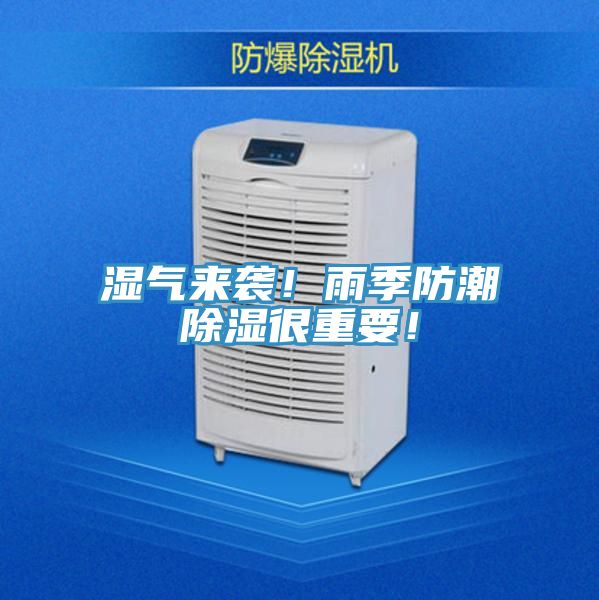 濕氣來襲！雨季防潮除濕很重要！