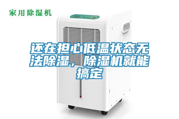 還在擔心低溫狀態無法除濕，除濕機就能搞定