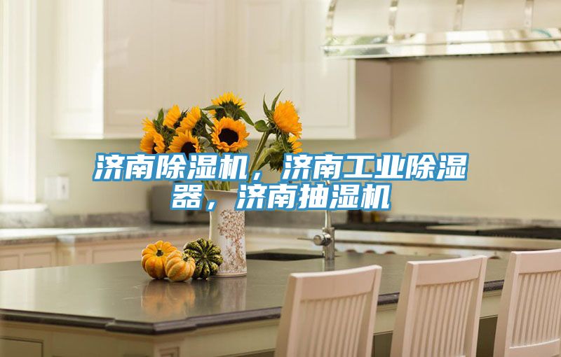 濟南除濕機，濟南工業(yè)除濕器，濟南抽濕機