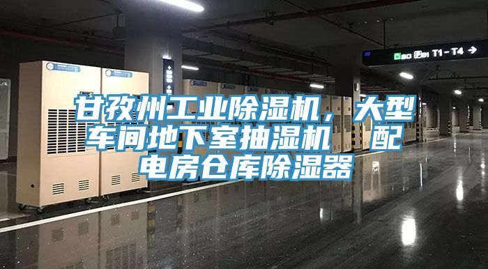 甘孜州工業除濕機，大型車間地下室抽濕機  配電房倉庫除濕器