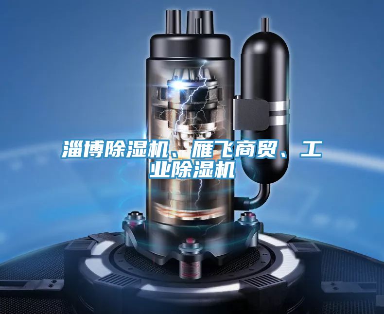 淄博除濕機、雁飛商貿、工業除濕機