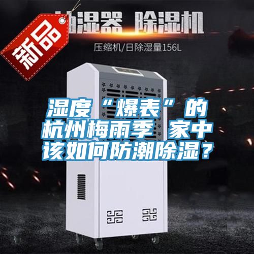 濕度“爆表”的杭州梅雨季 家中該如何防潮除濕？