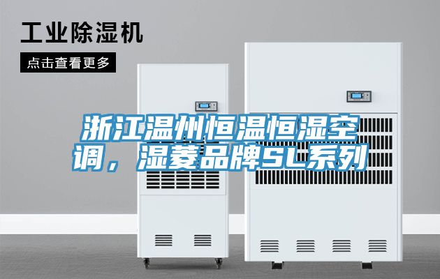浙江溫州恒溫恒濕空調(diào)，濕菱品牌SL系列