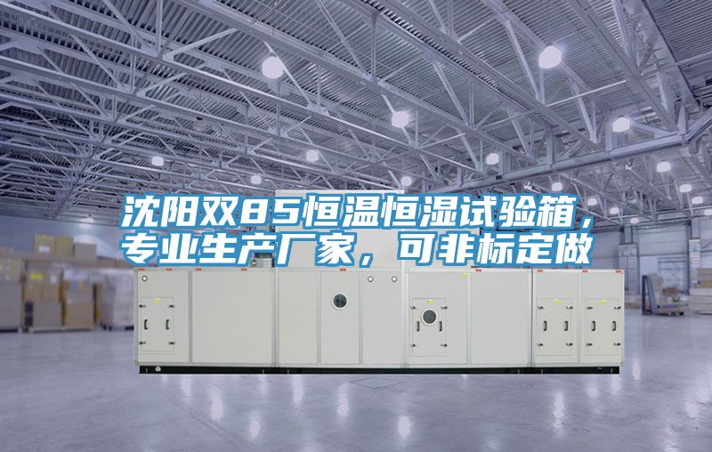 沈陽雙85恒溫恒濕試驗箱，專業生產廠家，可非標定做