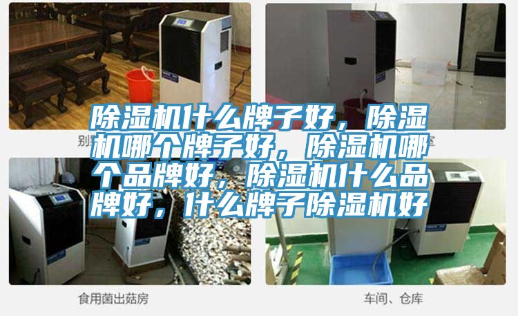 除濕機什么牌子好,除濕機哪個牌子好,除濕機哪個品牌好,除濕機什么品牌好,什么牌子除濕機好
