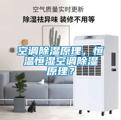 空調(diào)除濕原理,恒溫恒濕空調(diào)除濕原理?