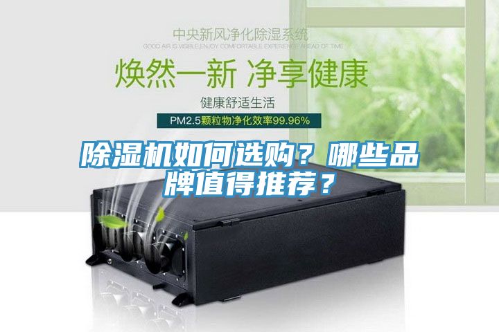除濕機如何選購?哪些品牌值得推薦?