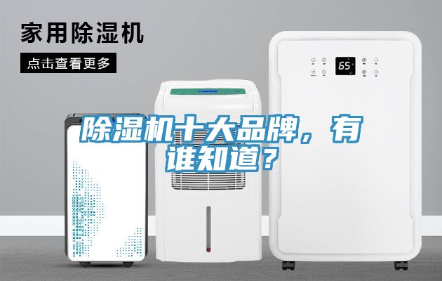 除濕機(jī)十大品牌，有誰知道？