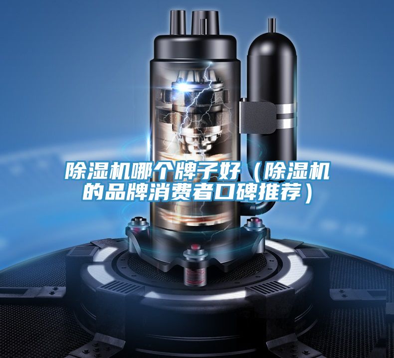 除濕機(jī)哪個(gè)牌子好(除濕機(jī)的品牌消費(fèi)者口碑推薦)