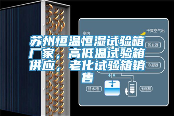 蘇州恒溫恒濕試驗箱廠家,高低溫試驗箱供應(yīng),老化試驗箱銷售