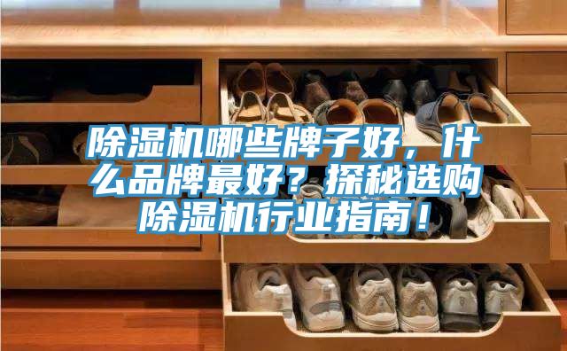 除濕機哪些牌子好,什么品牌最好?探秘選購除濕機行業指南!