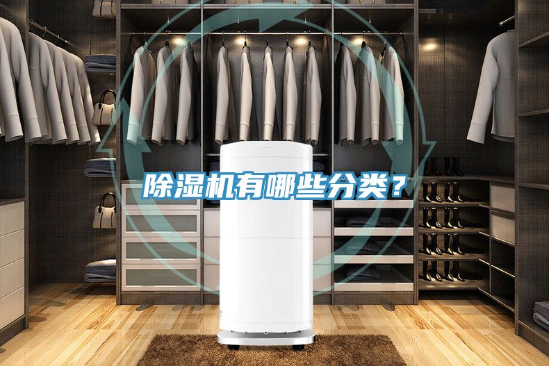 除濕機(jī)有哪些分類(lèi)？